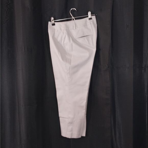 ANN TAYLOR FACTORY! PALEST GRAY CROPPED, RELAXED NOTCHED ANKLE PANTS! SZ 10P - Picture 3 of 10